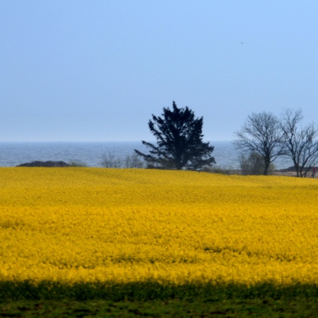 Größeres Bild ansehen